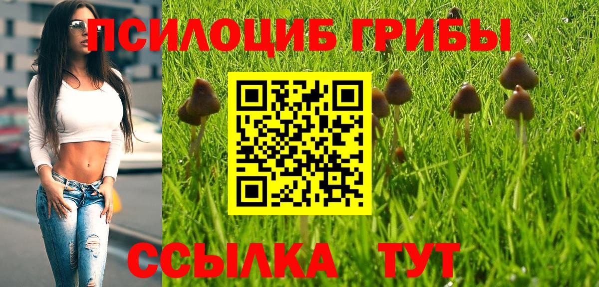 Псилоцибиновые грибы мицелий Удомля