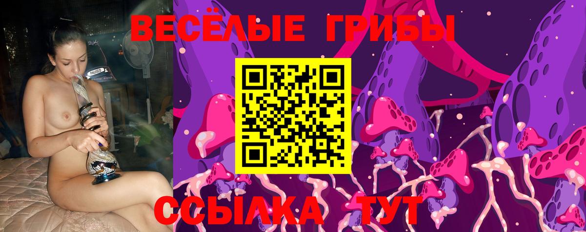 Удомля  Псилоцибиновые грибы Psilocybine cubensis  Вход с VPN  Псилоцибиновые грибы ЛСД 