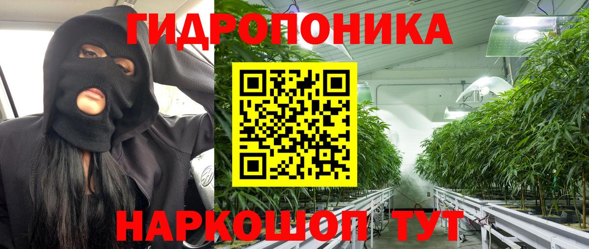 Каннабис семена  Вход с VPN  Удомля  Марихуана гибрид  Конопля сатива 